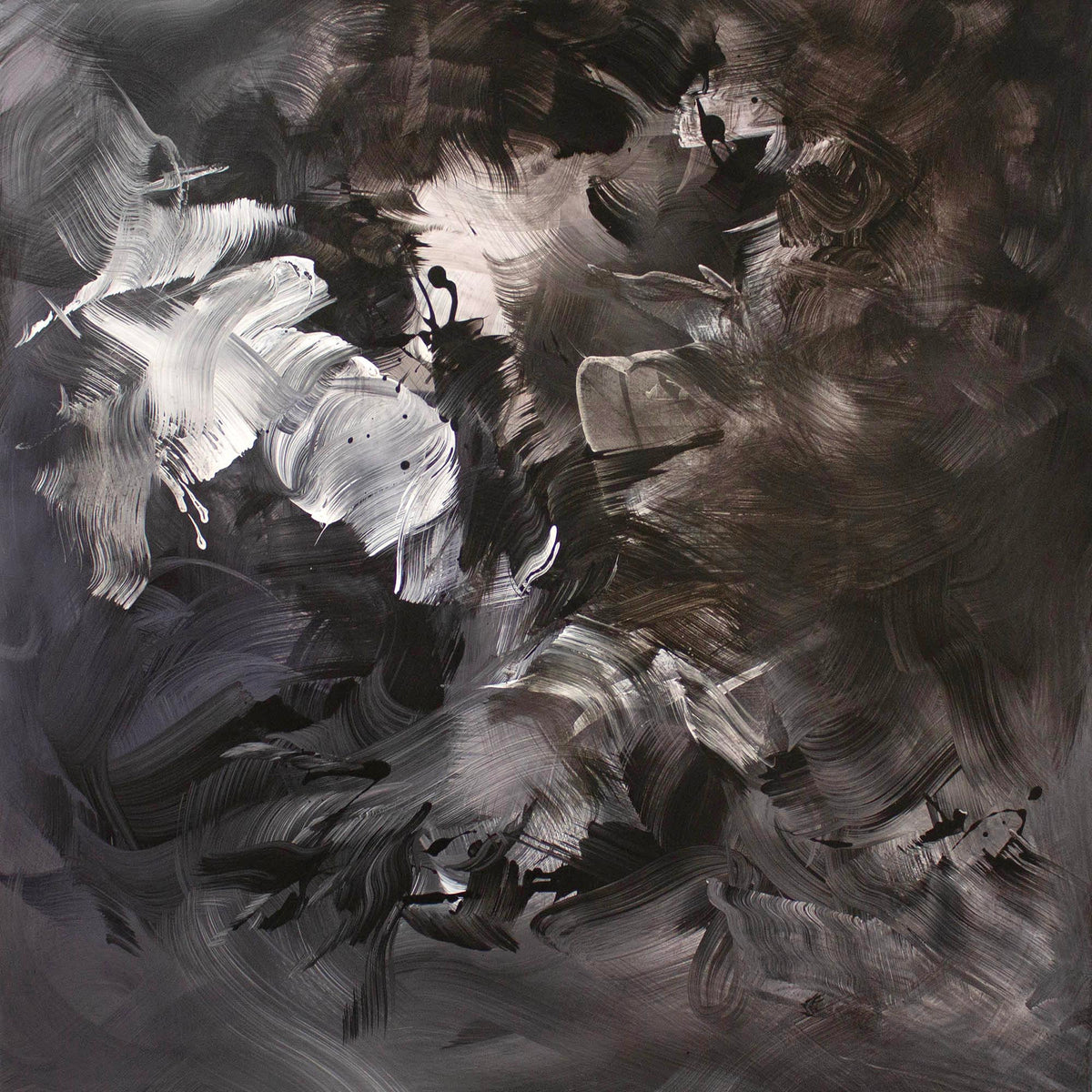 Alternate view of Between Light and Shadows by Paresh Nrshinga