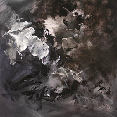 Alternate view of Between Light and Shadows by Paresh Nrshinga