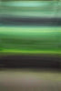 Green Canvas Art | Echoes Of Spring 24x36"