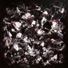 Midnight Garden, original Black, Charcoal, Plum abstract painting by Paresh Nrshinga.